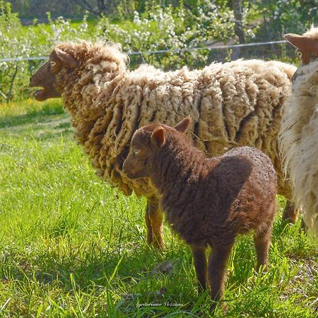 Agriturismo Vezzano Chiusi della Verna Luaran gambar