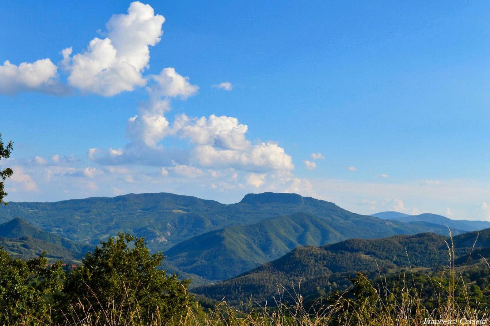 Agriturismo Vezzano Chiusi della Verna Luaran gambar