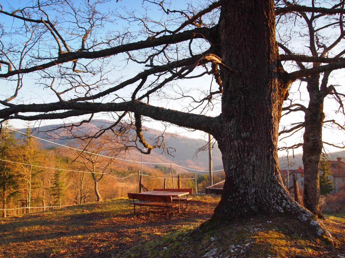 Agriturismo Vezzano Chiusi della Verna Luaran gambar