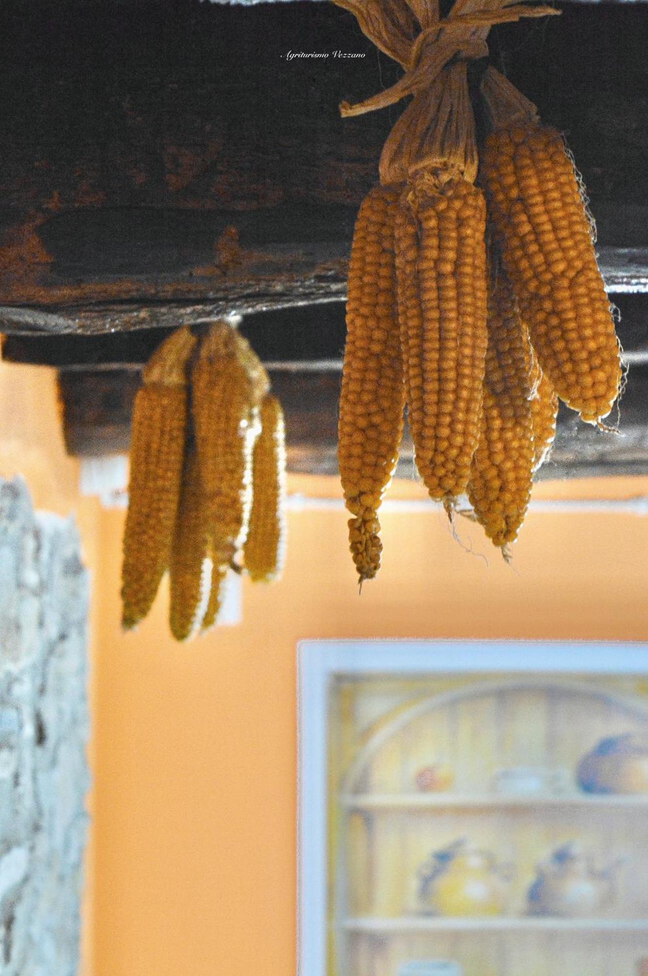 Agriturismo Vezzano Chiusi della Verna Bilik gambar